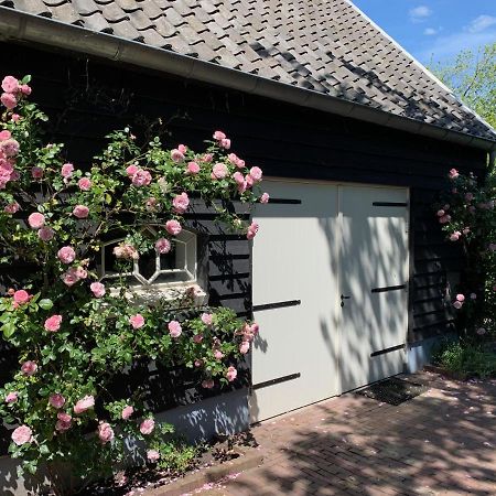 De Porrel Polsbroek Unit Met Prive Jacuzzi, Spa En Sauna Exteriör bild